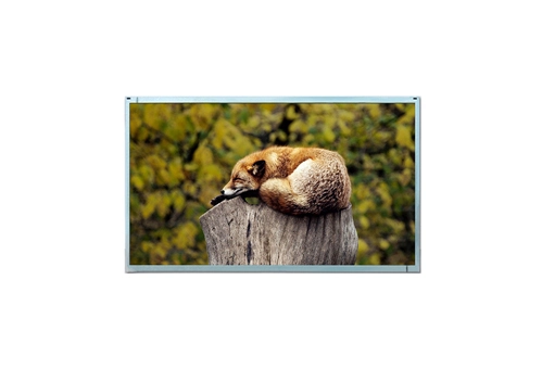 W215C30H1LI-S011B0 21.5 Inch IPS TFT LCD