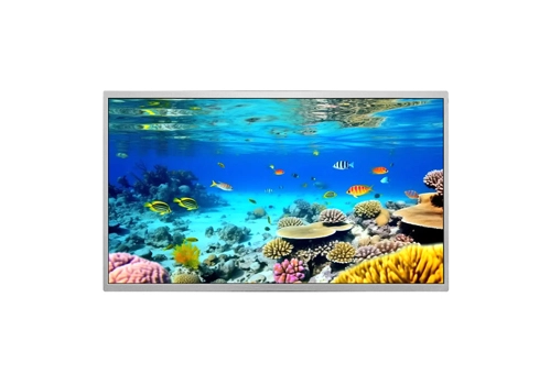 W238C30H2LI-S08B0 23.8 Inch IPS TFT LCD