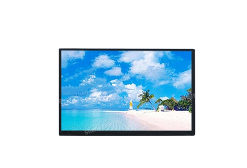 TM101JDHG30-00 10.1 Tianma LCD Panel