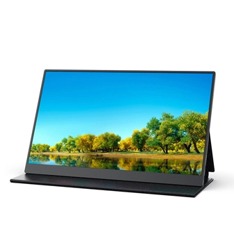 Portable Display Monitor