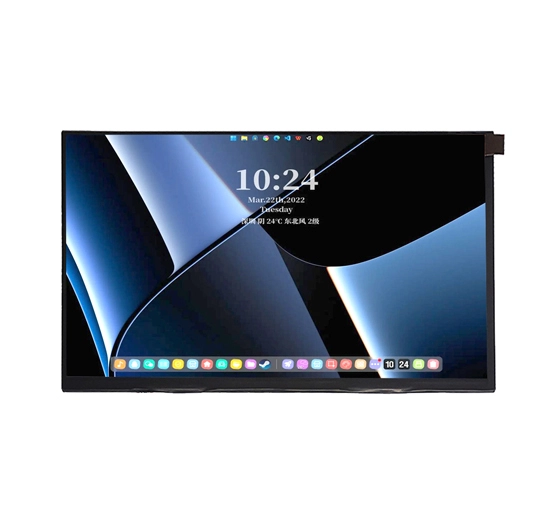 10-1-inch-lvds-lcd-panel