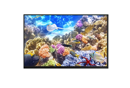 W101C30H1LI-J02B0 10.1 Inch IPS TFT LCD