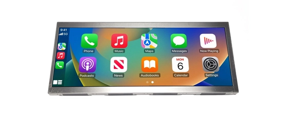 Automotive Instrument LCD Display Application