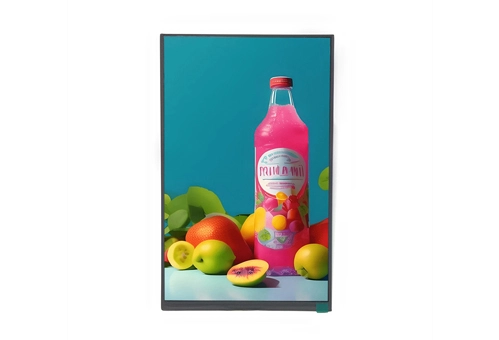W101C40H2MI-J04B0 10.1 Inch IPS TFT LCD