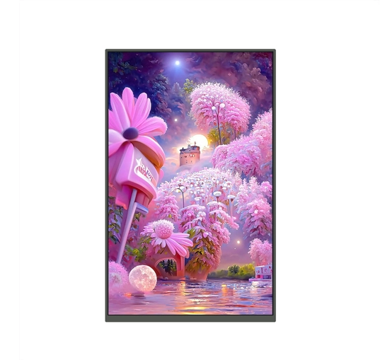 ips-tft-lcd-display